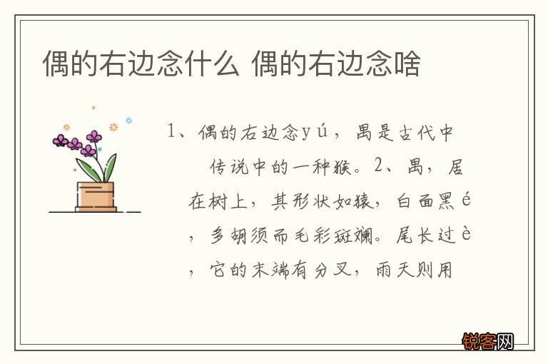 偶的右边念什么 偶的右边念啥