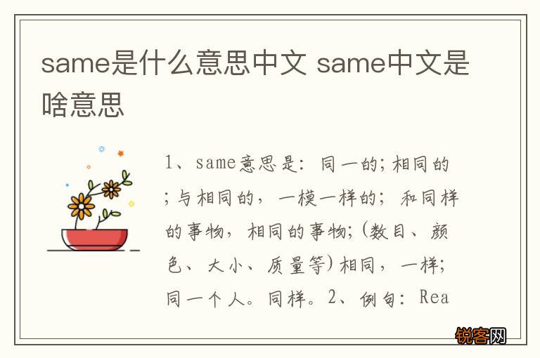same是什么意思中文 same中文是啥意思
