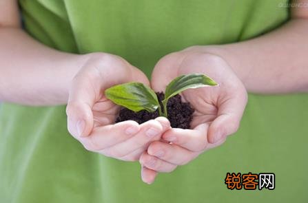 4月10日是什么节日？非洲环境保护日是几月几日