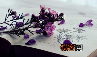 凝脂是什么意思 凝脂解释