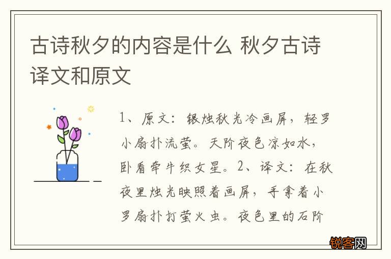 古诗秋夕的内容是什么 秋夕古诗译文和原文