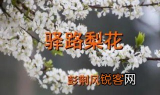 驿路梨花是什么意思 驿路梨花简单介绍