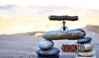 好高骛远的骛是什么意思 好高骛远的骛的意思
