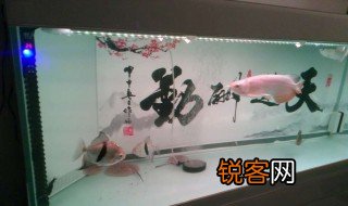心碎了无痕什么意思 心碎了无痕解释