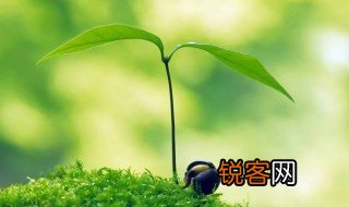 心智模式是什么意思 心智模式解释
