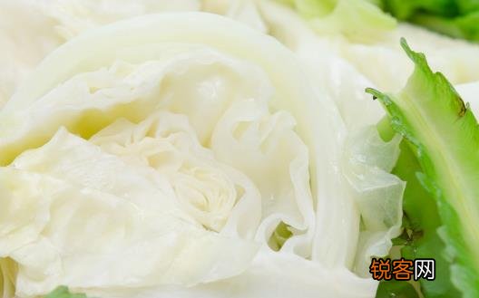三日断食减肥法 水煮菜减肥食谱做法