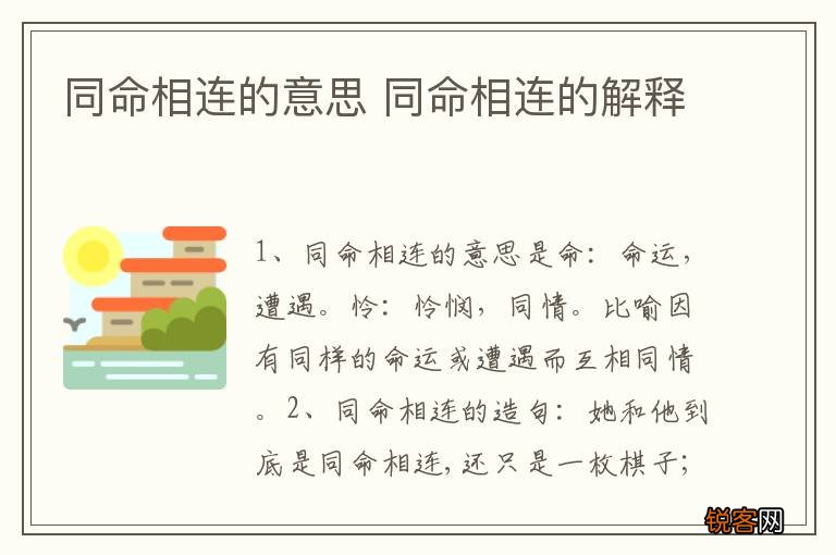 同命相连的意思 同命相连的解释