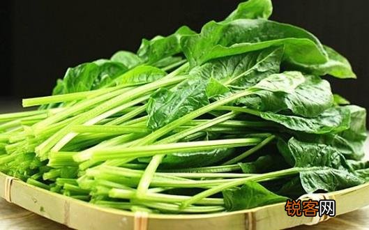 合理的减肥方法必不可少 十四种低卡食品多吃一些