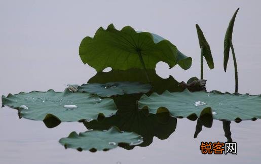 六款既美味又方便的蔬菜汤 多喝这些汤减肥还美颜