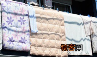 quilt怎么读 quilt如何读