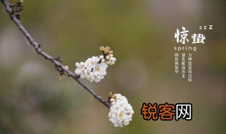 春季有哪几个节气分别代表什么意思 春天的节气有哪些