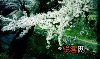 春去也飞红万点愁如海是什么意思 春去也飞红万点愁如海什么 意思