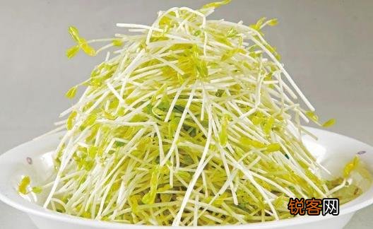 减肥不用节食 10种减肥食物热量低又饱腹