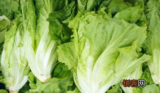 健康饮食减肥方法 11种食物来帮助我们减肥