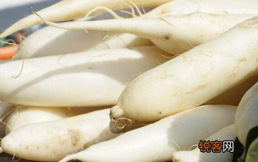 减肥蔬菜十大排行榜 吃对了减肥效果会更快
