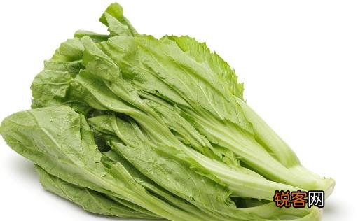 10种常见的蔬菜食材 确保自己的减肥计划得到执行
