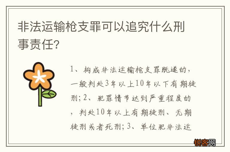 非法运输枪支罪可以追究什么刑事责任?