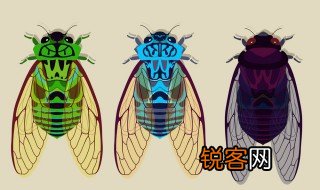 蝉的拼音 蝉的词组及造句
