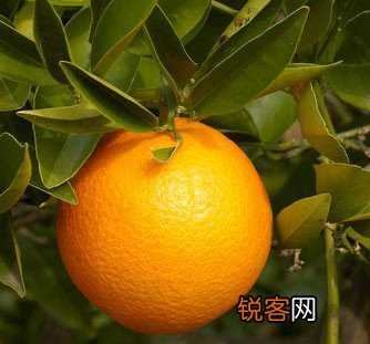 大年初一到初七 我们可以这样玩