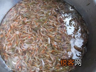 酥炸小河虾卷饼的做法