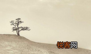 不名一文意思 不名一文释义