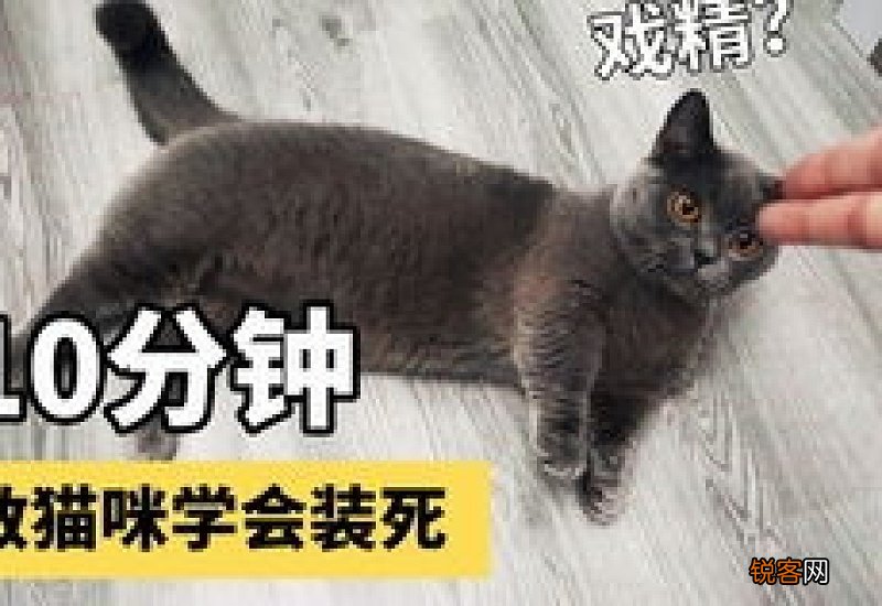 幼犬为什么要打三针疫苗