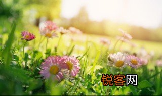 春天的天气可以用什么成语来形容 关于春天的天气的成语有哪些