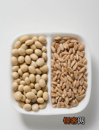 选豆泡豆保存全攻略解析豆浆5大问题