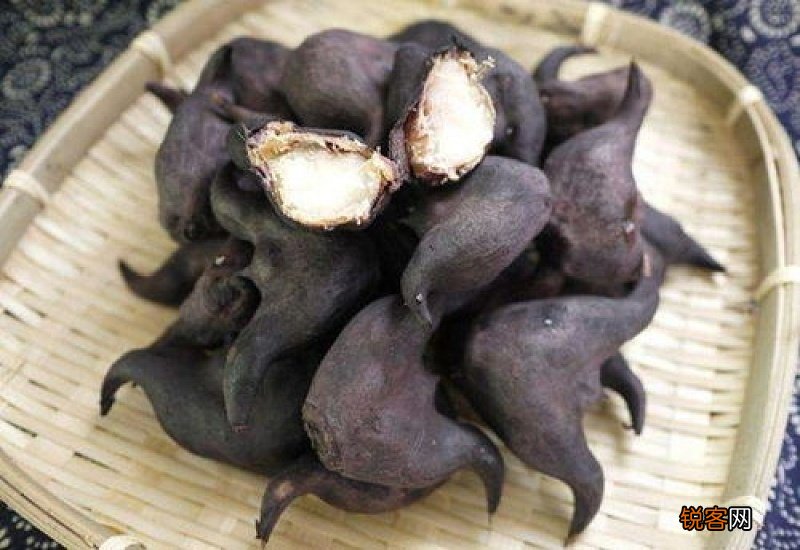 菱角要煮多久才可以吃菱角怎么剥