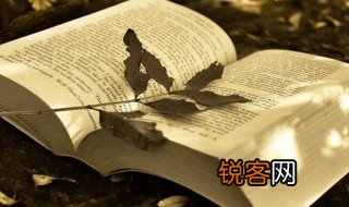 囊橐什么意思是 囊橐解释