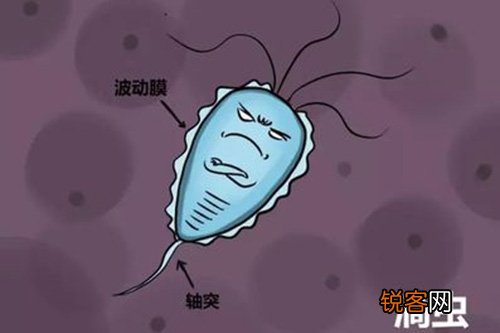 滴虫性**炎是什么？滴虫性**炎怎样医治？