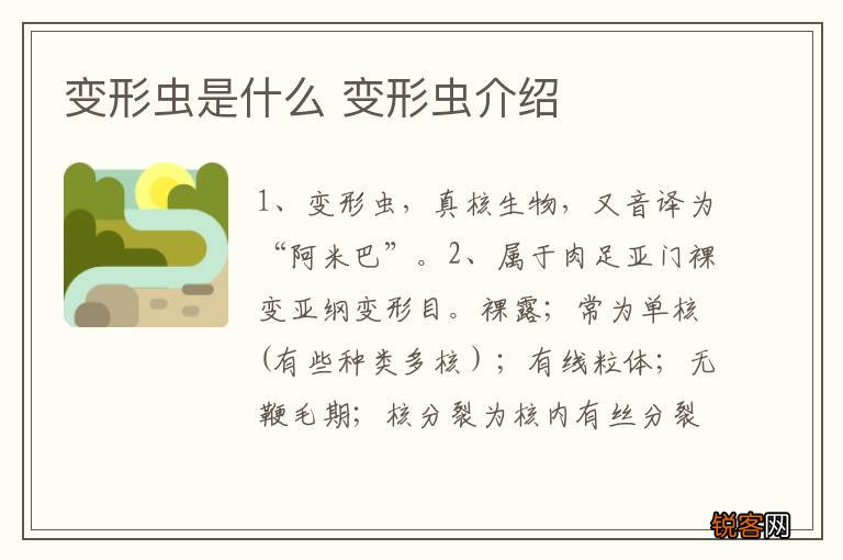 变形虫是什么 变形虫介绍