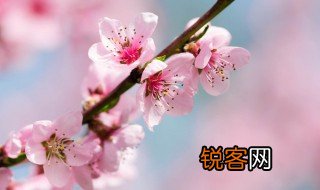 长恨春归无觅处不知转入此中来的意思是什么 长恨春归无觅处不知转入此中来原诗