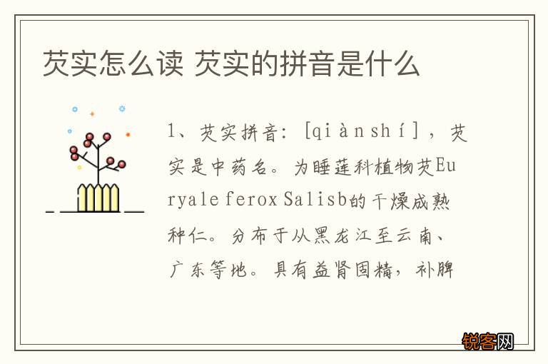 芡实怎么读 芡实的拼音是什么
