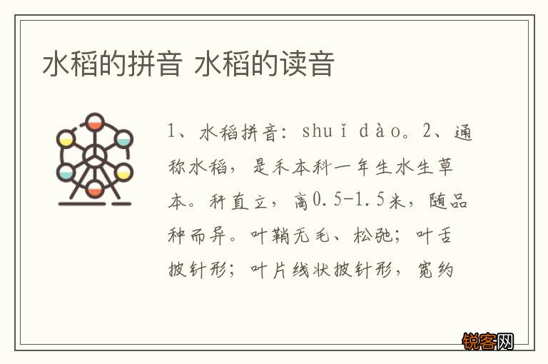 水稻的拼音 水稻的读音