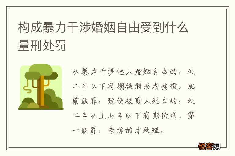 构成暴力干涉婚姻自由受到什么量刑处罚