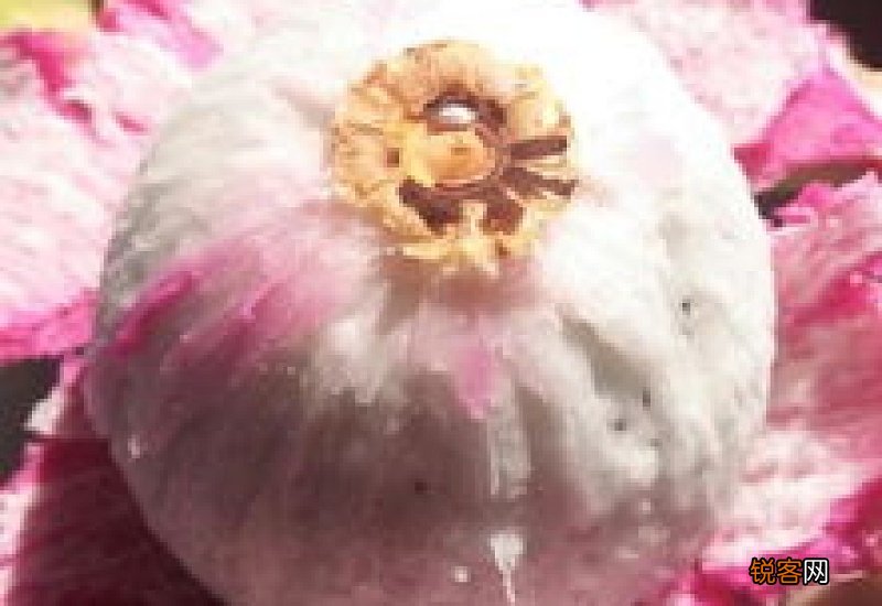 火龙果里有虫子还能吃吗