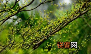 春课文 春课文主要内容