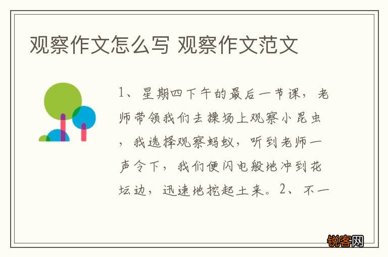 观察作文怎么写 观察作文范文