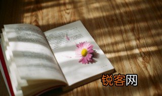 速度大是什么意思 速度大的解释