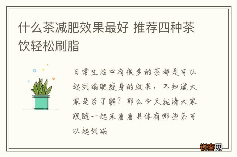 什么茶减肥效果最好 推荐四种茶饮轻松刷脂