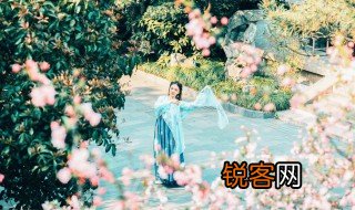 李白清平调云想衣裳花想容春风拂槛露华浓翻译 清平调云想衣裳花想容原诗阅读