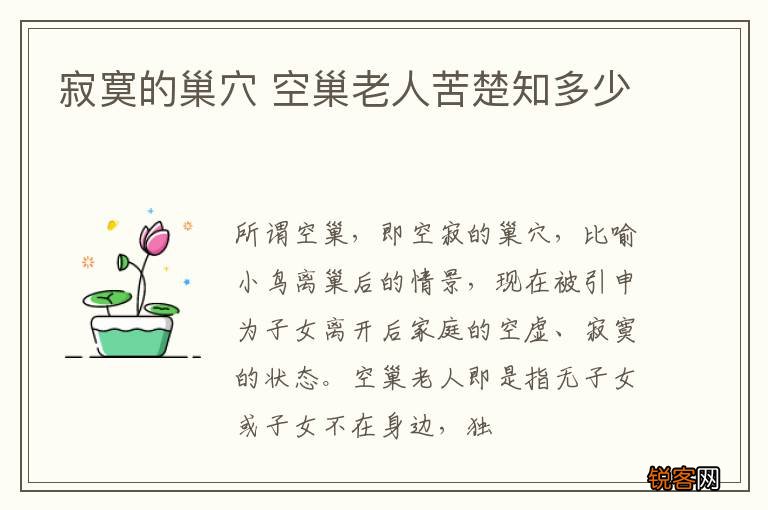 寂寞的巢穴 空巢老人苦楚知多少