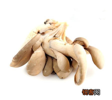 吃火锅慎吃6类食物