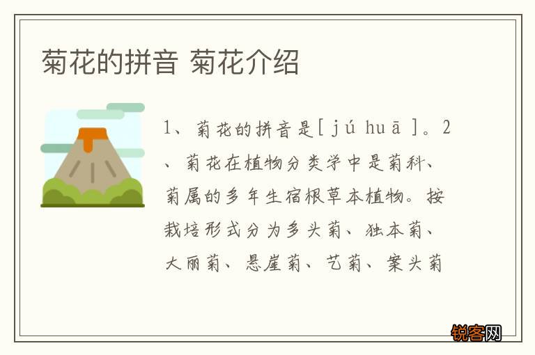 菊花的拼音 菊花介绍