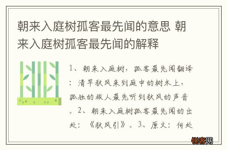 朝来入庭树孤客最先闻的意思 朝来入庭树孤客最先闻的解释