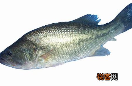 新年饮食7大“状元榜”美味滋补又养生
