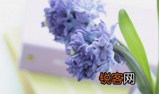 求的拼音 求的组词
