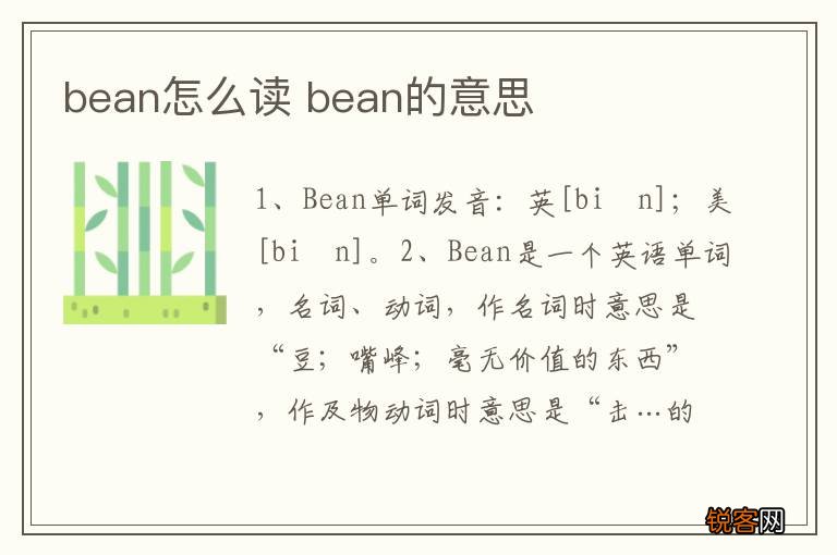 bean怎么读 bean的意思