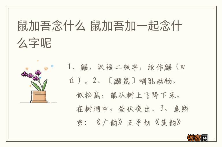 鼠加吾念什么 鼠加吾加一起念什么字呢